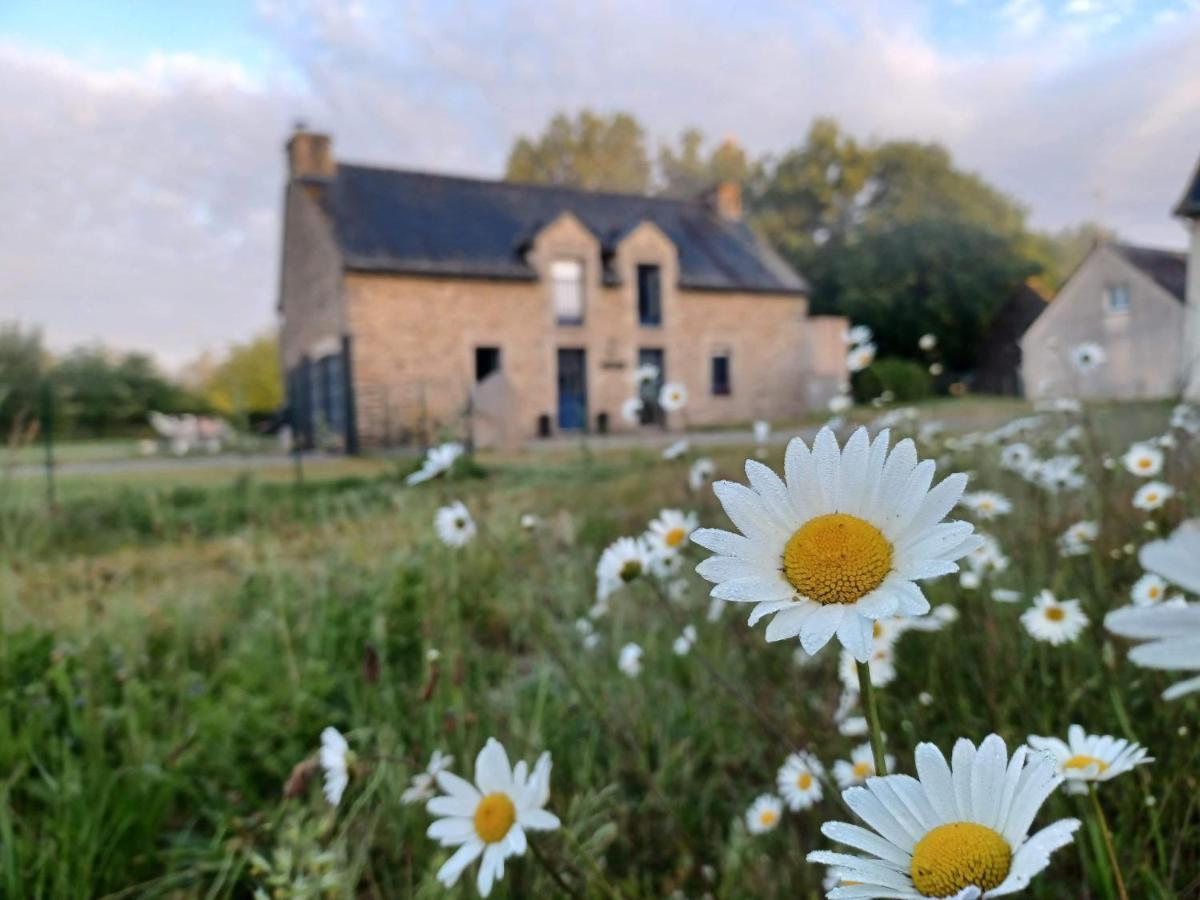 Bed and Breakfast Au Petit Bonheur De Claire Et Jo La Chapelle-Caro Zewnętrze zdjęcie